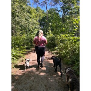 De Gooische Snuitjes image 2