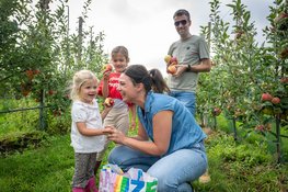 Utrechtse fruittelers openen hun boomgaard: geniet van de oogst van dichtbij
